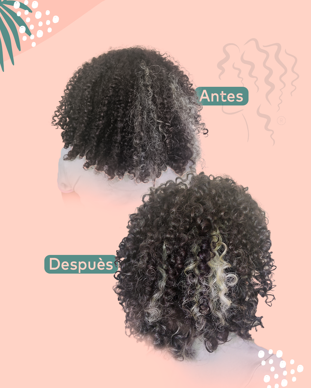 Rëzo Cut